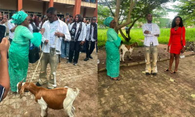 Nigerian Mother Gifts Son a Live Goat After Polytechnic Graduation