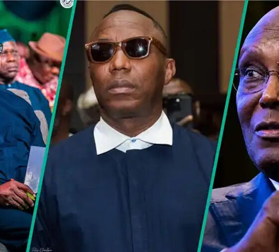 "Close Your Mouth": Amaechi, Sowore, Obi Clash Over Fuel Subsidy in Heated NBA Debate