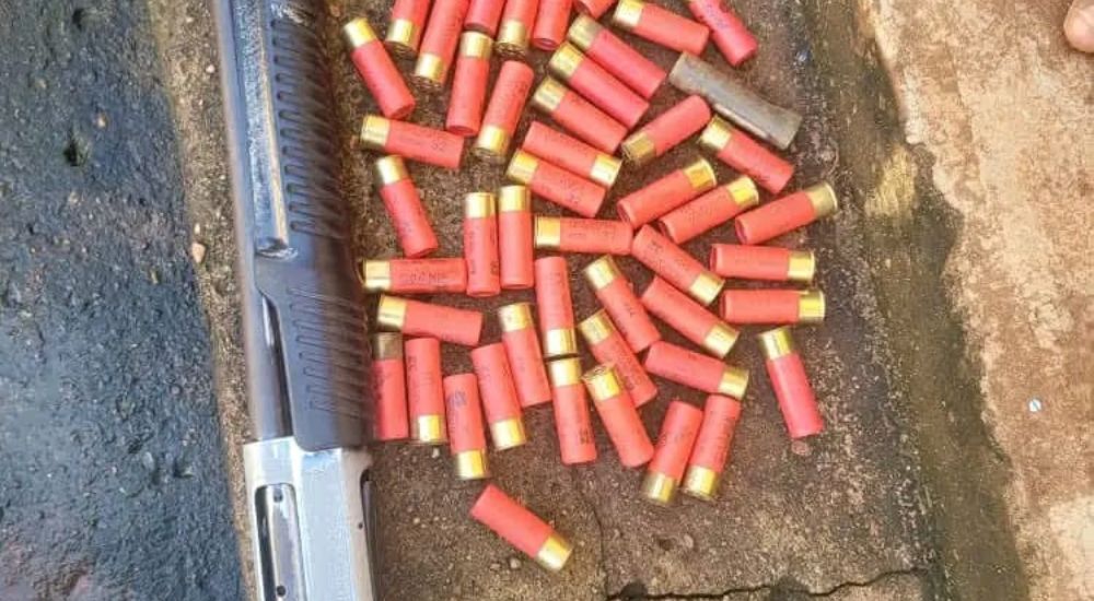 Police Nab 49-Year-Old With Pump-Action Rifle, 50 Ammunition Rounds In Anambra