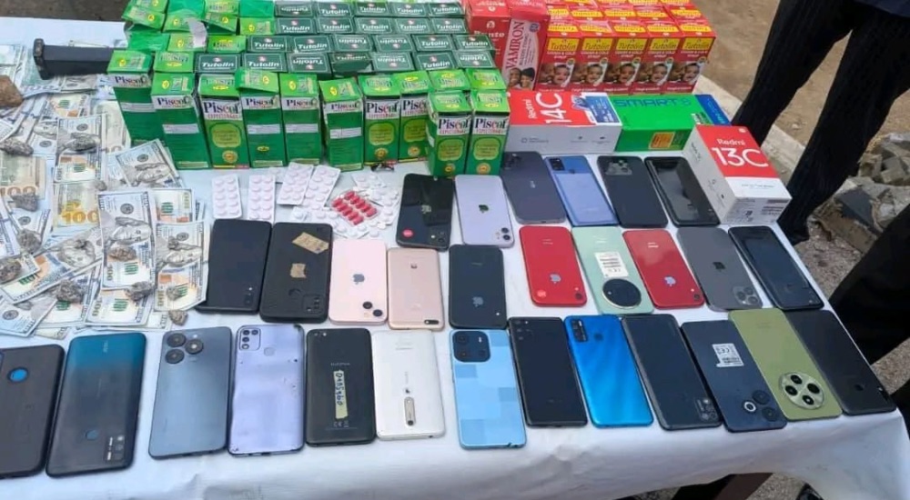 N78 Million Solar Inverters, 410 Cattle, 10 Guns Recovered as Kaduna Police Arrest 25 Suspects