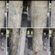VIDEO: Lagos Bridge Vandalism: 27 Arrested as Scavengers Strip Pillars of Iron Bars