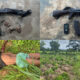 Troops Neutralize Suspected Armed Herder, Recover AK-47 in Benue Community Attack