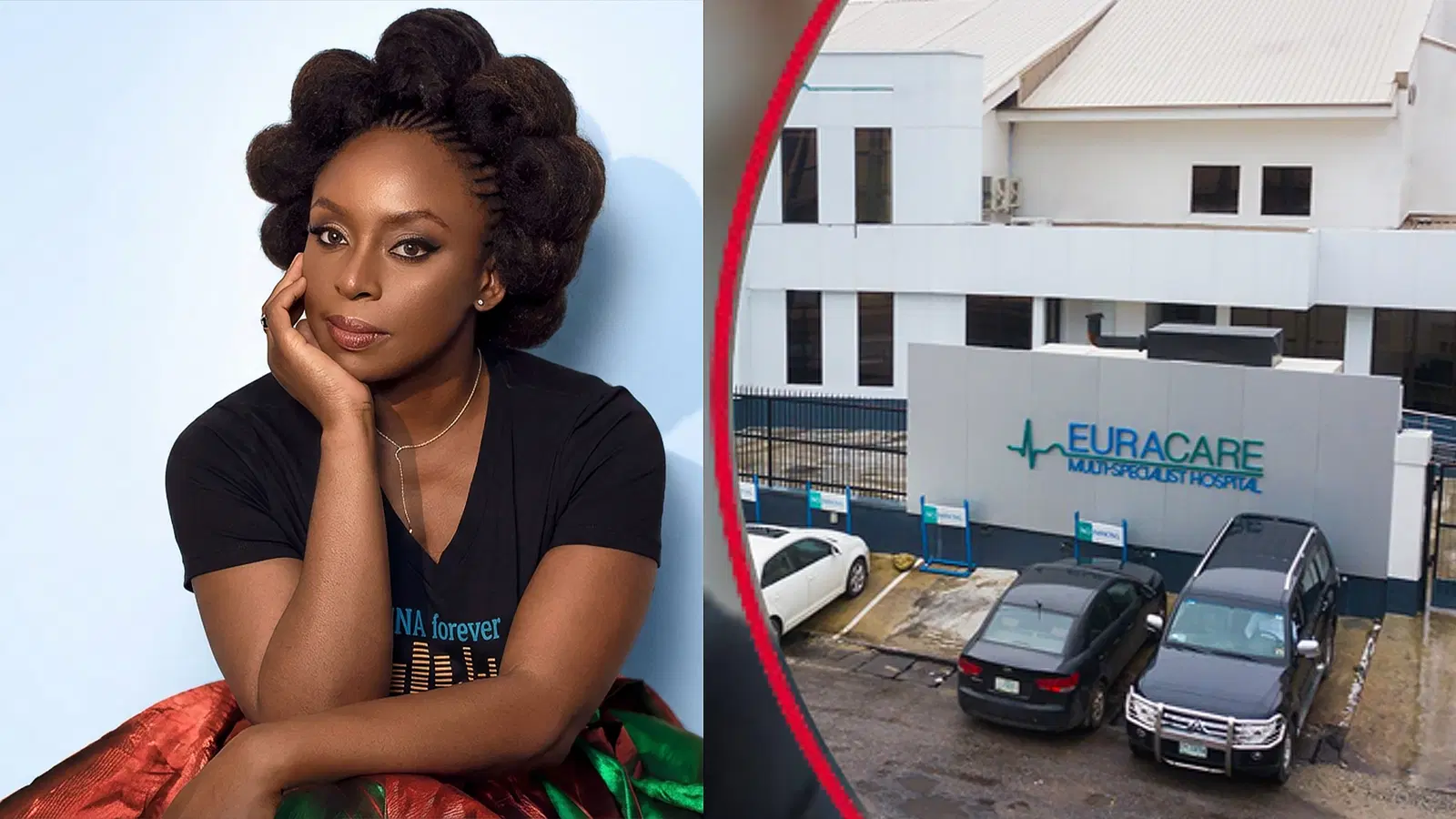 Chimamanda Adichie: Hospital Seeks to Stop Inquest Into Son’s Death