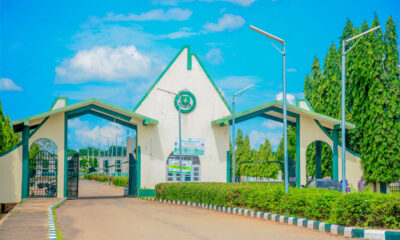 Stray Bullet Kills 400-Level IBBU Student During Land Dispute in Niger