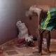 Lagos Arrests Man Over Viral Video of Toddler Being Flogged