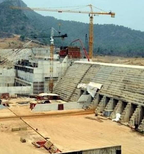Nigeria Wins $3.38bn Mambilla Arbitration Battle As ICC Rejects Sunrise Claims