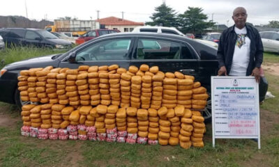 NDLEA Intercepts 44kg UK-Linked Cannabis, Drugs Hidden in Bread, Speakers