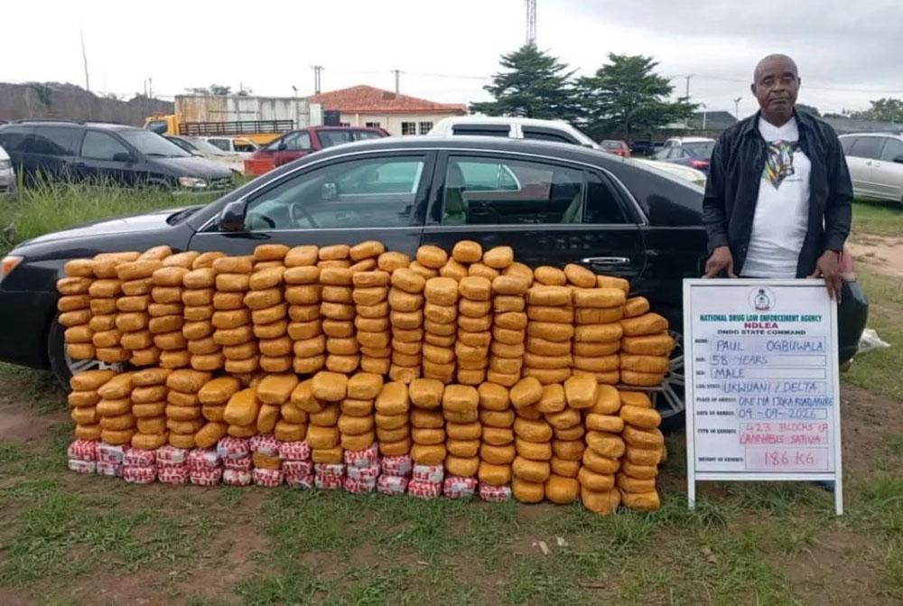 NDLEA Intercepts 44kg UK-Linked Cannabis, Drugs Hidden in Bread, Speakers
