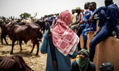Three Young Herders Killed, Two Missing in Plateau Attack