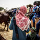 Three Young Herders Killed, Two Missing in Plateau Attack
