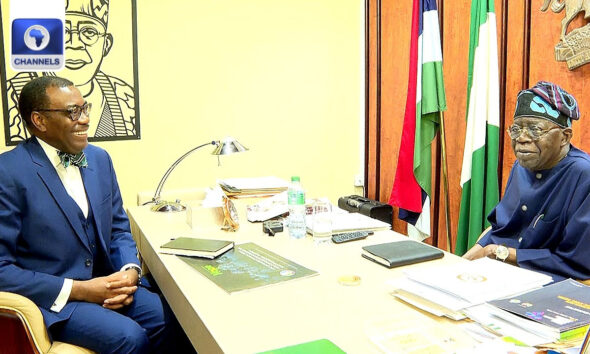 After AfDB Tenure, Adesina Offers to Help Tinubu Drive Nigeria’s Growth