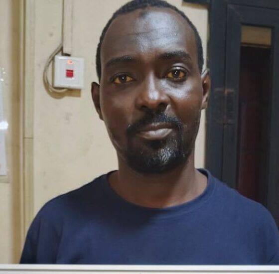 NAFDAC Busts Illegal Herbal Factory in Lagos, Arrests Manager Over Fake Registration Number