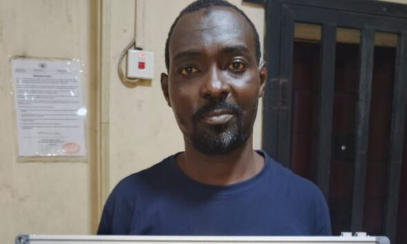 NAFDAC Busts Illegal Herbal Factory in Lagos, Arrests Manager Over Fake Registration Number