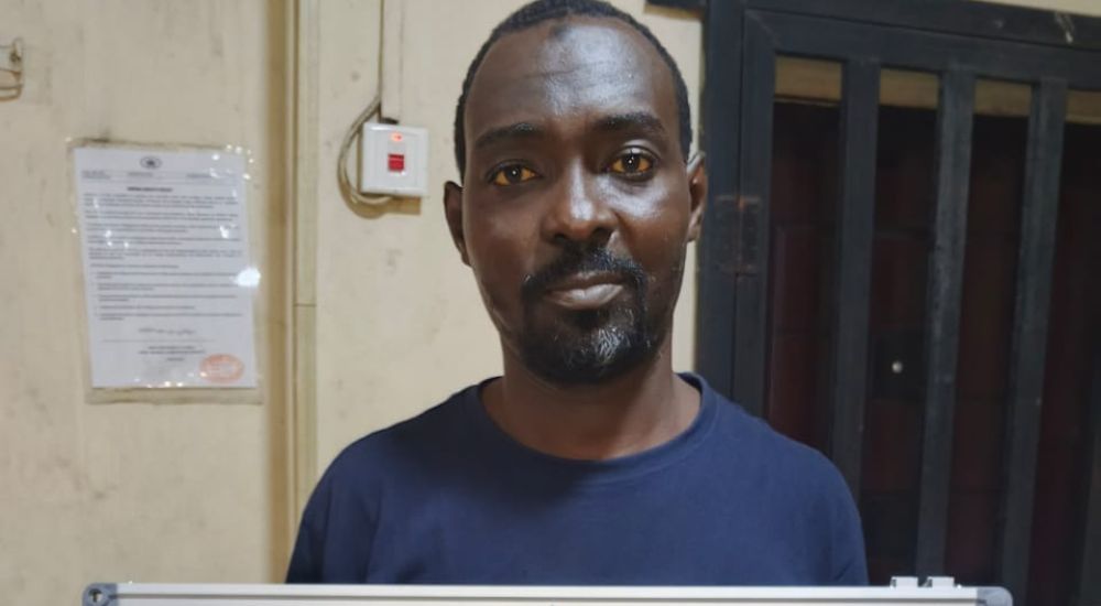 NAFDAC Busts Illegal Herbal Factory in Lagos, Arrests Manager Over Fake Registration Number