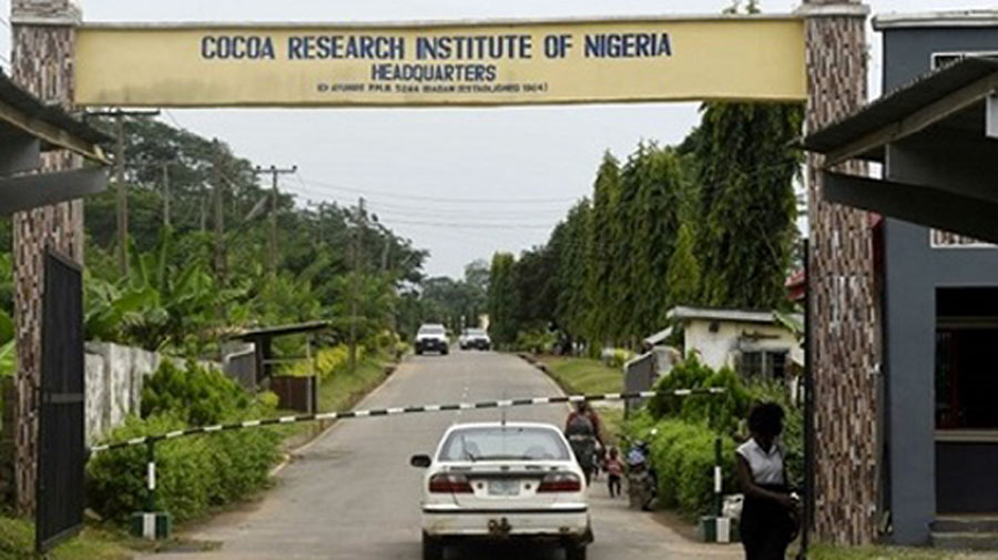 Fresh Kidnap at Cocoa Institute: Gunmen Seize Three Workers in Oyo