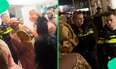 Drama as Dutch Police Use Batons, Dogs to Shut Down Nigerian Wedding; Two Arrested