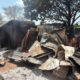 Farmers-Herders Clash in Abuja Leaves Three Dead as Houses, Shops Burn