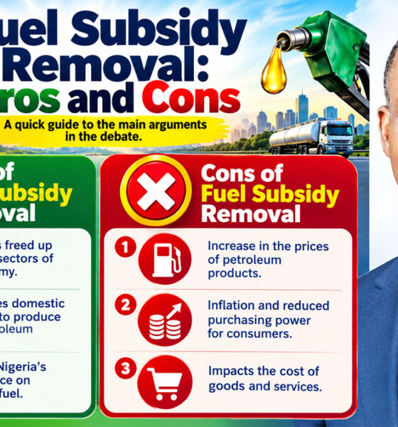 Fuel Subsidy May Ease Hardship Today, But Could Cripple Nigeria’s Economy Tomorrow — FG