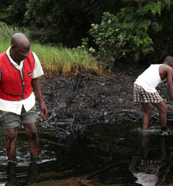 Fresh Oil Discovery Sparks Tension in Delta Community as Family Rejects Land Lease Deal
