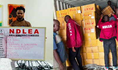 NDLEA intercepts N5bn worth of drugs at ports, arrests Milan-bound businessman
