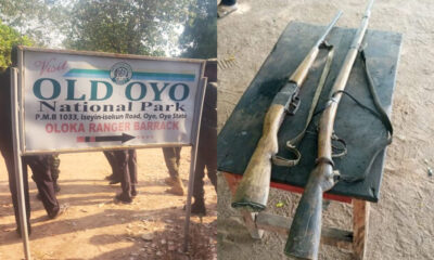 OPC Arrests Three Suspected Kidnappers Around Old Oyo National Park, Recovers Rifles