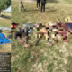 Troops Crush Four-Front ISWAP Assault, Kill Over 25 Terrorists In Borno
